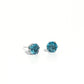 Breathtaking Birthstone - Blue Earring