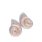 Chill Conch - Orange Earring