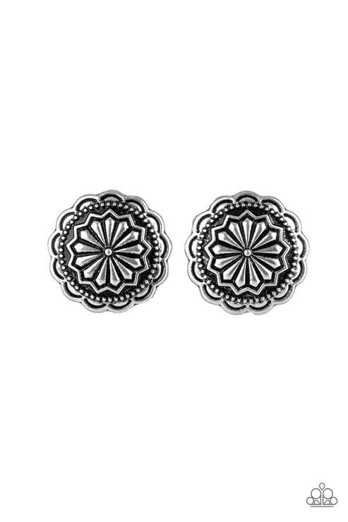 Durango Desert - Silver Earring