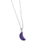 Lunar Lesson - Purple Necklace