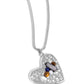 Tilted Trailblazer - Brown Necklace