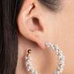 Yacht Royale - Gold Earring